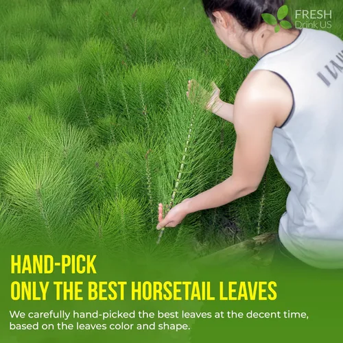 Vista 144 de FreshDrinkUS, 135 bolsas de té de jengibre y cúrcuma premium, ingredientes 100% naturales, mezcla hecha a mano de té de hierbas de cúrcuma