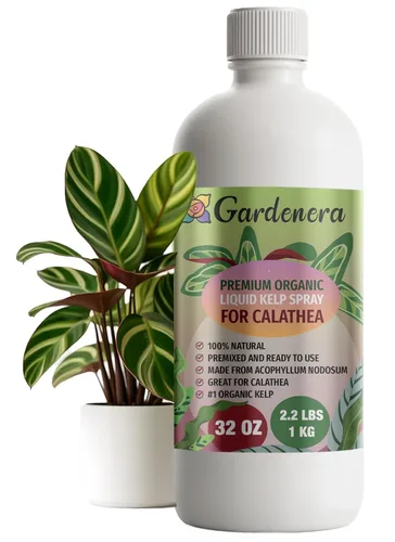 Vista 79 de GARDENERA Superalimento orgánico prémium de algas marinas y algas marinas para plantas AGLAONEMA, 8 onzas, concentrado de fertilizante líquido