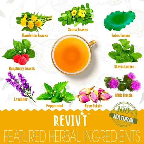 Vista 3 de REVIVT Kit de té de desintoxicación de colon e hígado Juego de té de hierbas 2 en 1, 14 bolsas cada una para limpieza intestinal y salud hepática