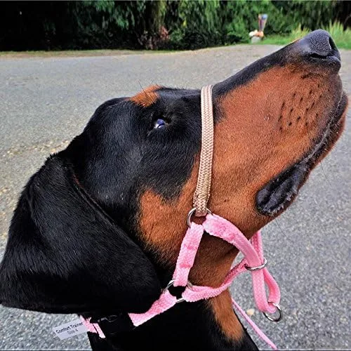 Vista 6 de Comfort Trainer - Cabestro de cabeza de perro, talla 3, color negro