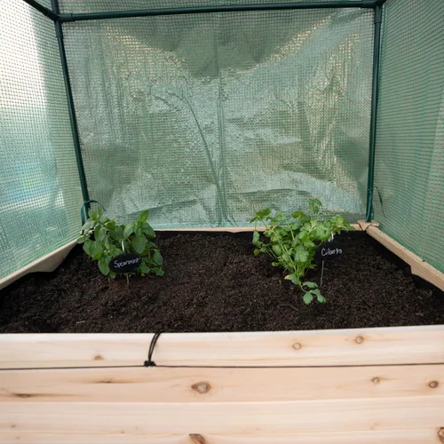 Vista 5 de Backyard Expressions - Cama de jardín elevada de 36 x 24 pulgadas con cubierta de invernadero, maceta de madera elevada con patas, mini invernadero