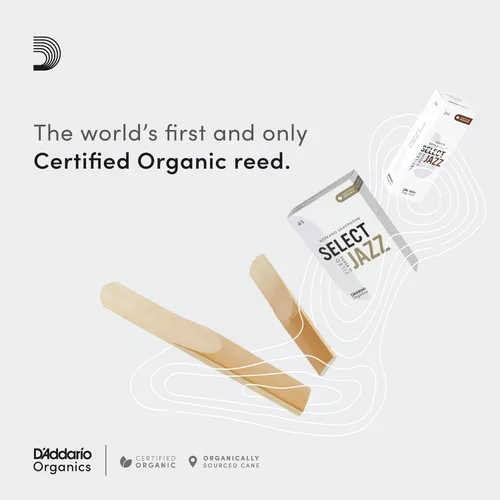 Vista 3 de D'Addario Organic Select Jazz Unfiled - Cañas de saxofón alto, selladas individualmente, 2 medianas, paquete de 3