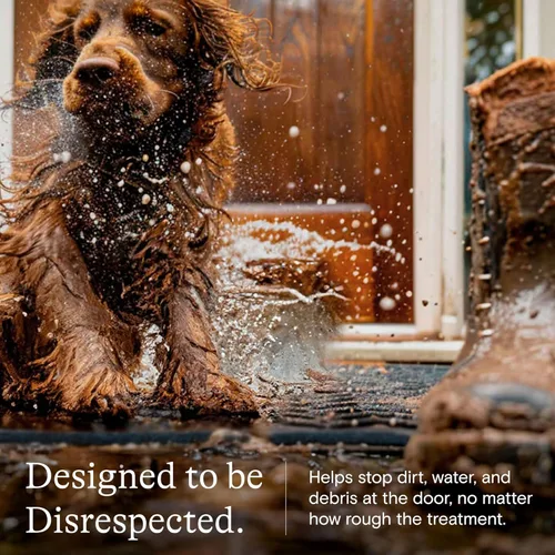 Vista 9 de Alfombra de la colección Boxwood de Bungalow Flooring, Bluestone