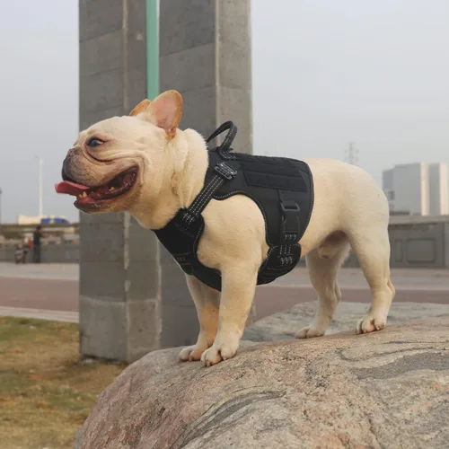 Vista 2 de ICEFANG - Arnés táctico para perros, talla S, con 2 hebillas de metal, chaleco para transportar carga, ligero y modular (MOLLE) con mango, clip