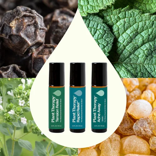 Vista 3 de Plant Therapy Juego de mezcla de aceite esencial roll-on de soporte para el dolor, 10 mL (1/3 oz) cada uno de dolor, alivio rápido y alivio