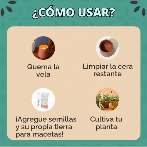 Vista 3 de Modern Sprout Maceta de vela de soja, crece albahaca, aroma a albahaca