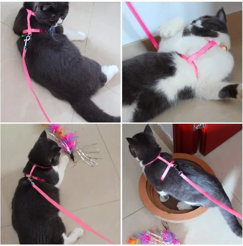 Vista 8 de PERSUPER - Paquete de 2 correas de arnés de conejo – Correa ajustable de nailon suave para animales pequeños, para caminar, correr al aire libre