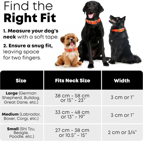 Vista 2 de Regal Dog Products Collar de perro reflectante naranja grande con placa de nombre grabada personalizada y anillo central resistente Collares