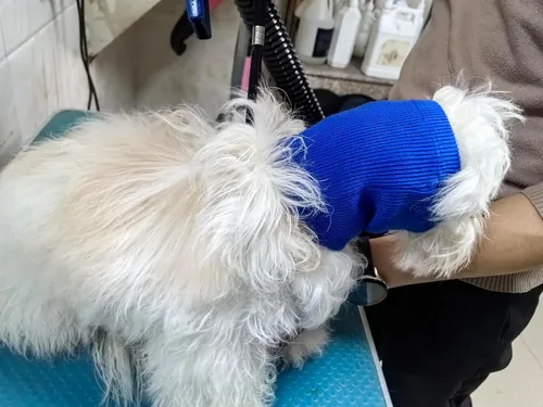 Vista 3 de Paquete de 2 envolturas para las orejas sin solapa, sudaderas calmantes para perros, cubiertas calmantes para las orejas sin solapa, cubiertas