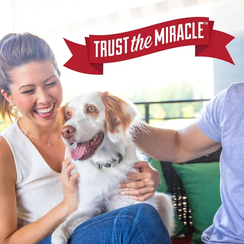Vista 9 de Nature's Miracle Removedor de orina para perros, 24 onzas, fórmula enzimática