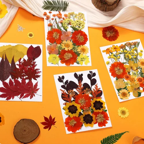 Vista 2 de 85 piezas de flores y hojas prensadas secas en otoño para manualidades de Naranja y amarillo 85 piezas