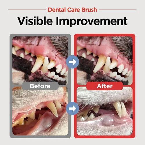 Vista 2 de JAYU PET Kit de cepillado dental – Gel dental 1EA + cepillo de cuidado dental 1EA Juego de cepillos de dientes para perros y gatos, kit de cuidado