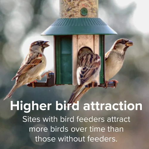 Vista 6 de Blue Seal Woodpecker Mix Wild Bird Seed Mezcla premium de nueces, semillas de girasol y frutas Bolsa de 8 libras