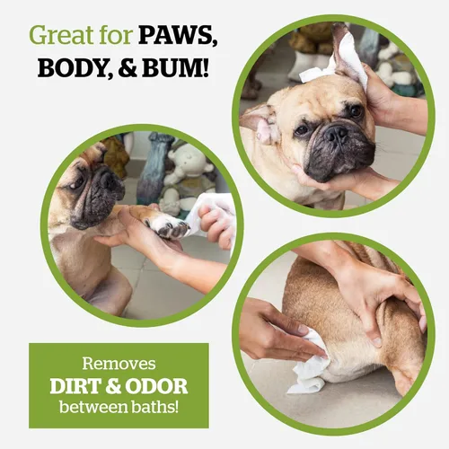 Vista 6 de Pogi's Grooming Wipes, 100 toallitas antisépticas para perros y gatos