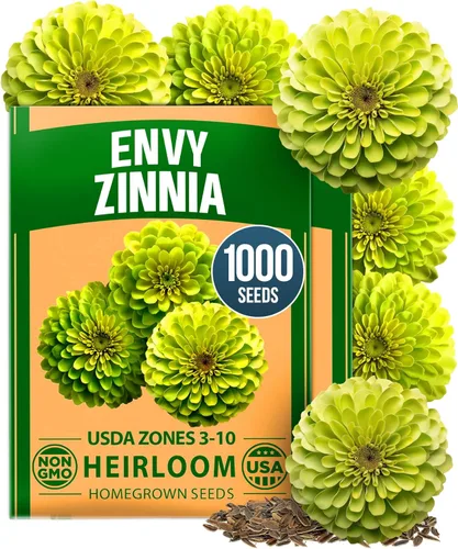 Vista 21 de Bóveda de 15 semillas de hierbas culinarias – Más de 4500 semillas criollas sin transgénicos para plantar – Jardín de hierbas para interiores
