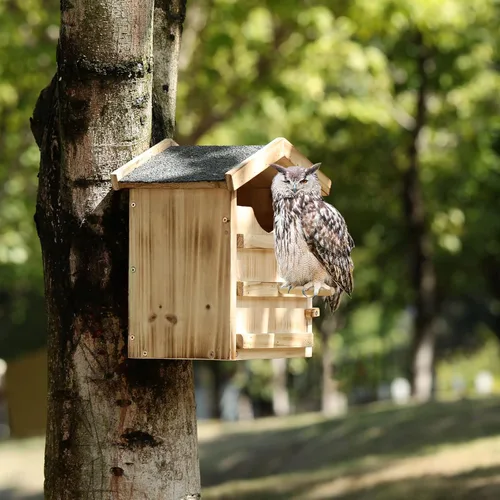 Vista 5 de Caja de nido de búho preconstruida para exterior para búhos chillones y cernícalos - Caja de pájaros grande hecha a mano de madera con abertura