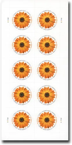 Vista 4 de Sellos postales de margaritas africanas de Global Forever International Mail 2022 (1 hoja, 10 sellos)