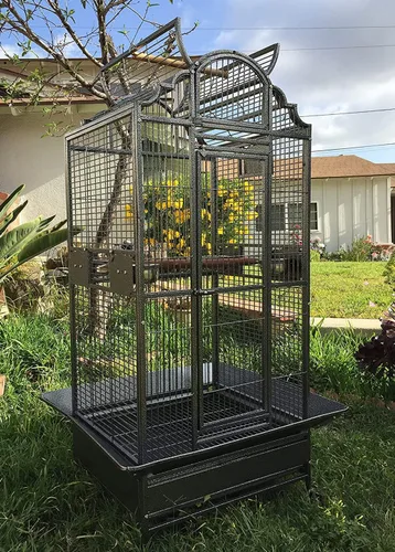 Gran elegancia y duradero hierro forjado abierto soporte superior pájaro loro jaula rodante, incluye protector de semillas de metal sólido