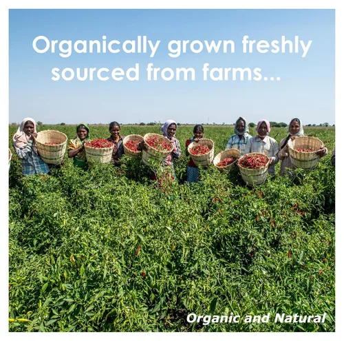 Vista 7 de Blessfull Healing Pani Puri Masala Orgánico 3.53 oz