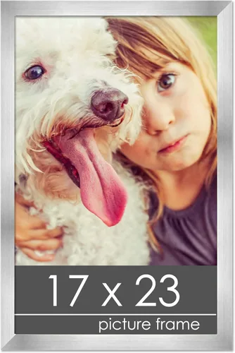 Vista 21 de Marco de madera de peltre plateado de 19 x 25 pulgadas con plexiglás acrílico UV, respaldo de tablero de espuma y accesorios incluidos