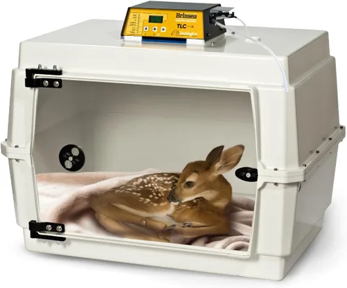 Brinsea TLC-50 Zoologica II - Incubadora grande de cría de aves y recuperación de mascotas con control de humedad para animales enfermos, ideal para