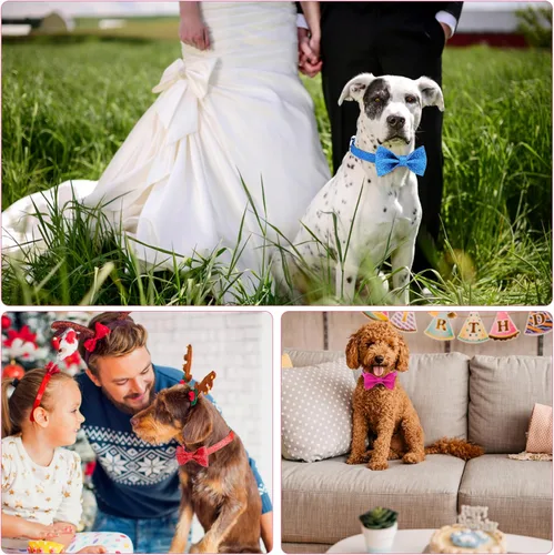 Vista 5 de Blue Boy - Collar de perro con lazo, Collar de perro macho con lazo brillante para cachorros, perros pequeños y gatos, Lindo collar de perro