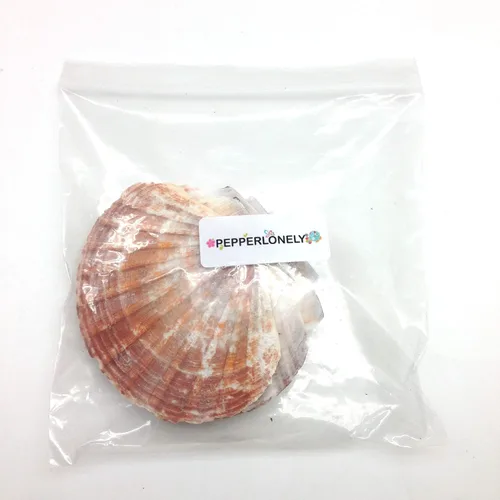 Vista 4 de PEPPERLONELY 6 conchas marinas grandes de vieira grande, conchas planas irlandesas, 4 pulgadas ~ 5 pulgadas