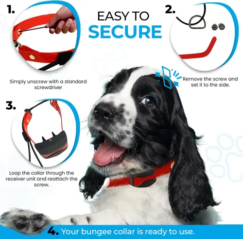 Vista 5 de eCollar Replacement Strap Bungee Style - Dog Shock Collar Replacement Strap - Dog Collar for Shock Collar - Replacement Collar - sportdog