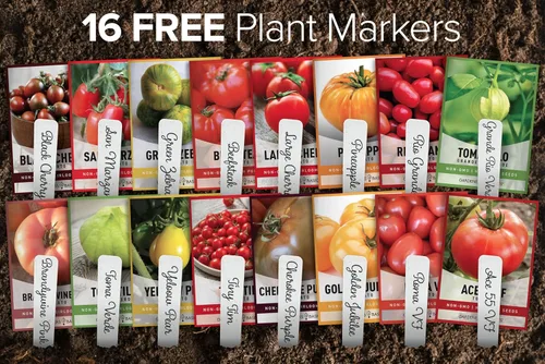 Vista 8 de Gardeners Basics, Semillas de tomate para plantar 16 semillas de tomate reliquia, Tiny Tim, semillas de tomate cherry, semillas de bistec, semillas