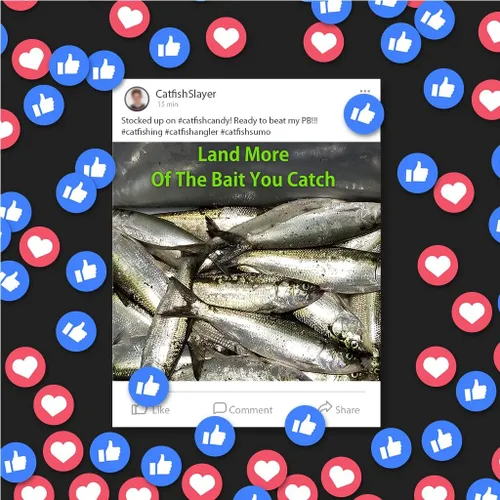 Vista 6 de Cuchara Sumo – Cuchara de cebo para pesca de gato, bajo blanco, lubina rayada y otros peces cebo, 1 5/8 pulgadas