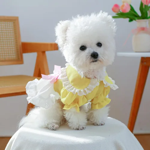 Vista 242 de Moda Vestido de Princesa de Encaje para Perro Cachorro Dulce para Perro EXTRAL Pequeño y Pequeño A-Negro XX-Pequeño