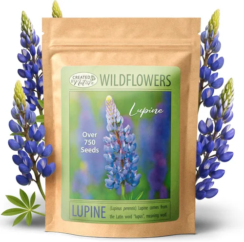 Created by Nature Blue Lupine Seeds, 750 semillas de flores silvestres perennes