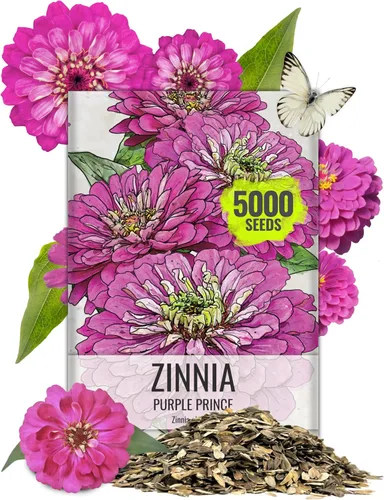 Vista 25 de Seed Needs State Fair - Semillas de zinnia para plantar flores cortadas mixtas, 1 paquete 4-Mezclado