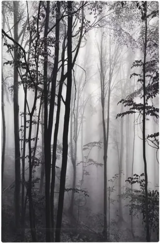 Vista 50 de William Morris Floral Boho Azul Medianoche Azul Bohemio Flor 1 Banda Dúplex Cubierta de Salida Decorativa Receptáculo Único Interruptor Eléctrico