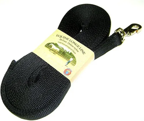 Hamilton - Caballo de nailon grueso con broche giratorio, 1 pulgada/26 pies, color negro