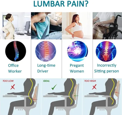Vista 2 de QUTOOL Cojín de asiento y almohada de apoyo lumbar