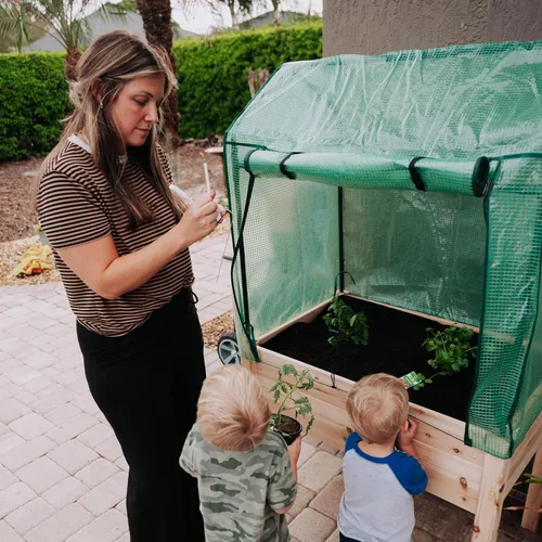 Vista 7 de Backyard Expressions - Cama de jardín elevada de 36 x 24 pulgadas con cubierta de invernadero, maceta de madera elevada con patas, mini invernadero