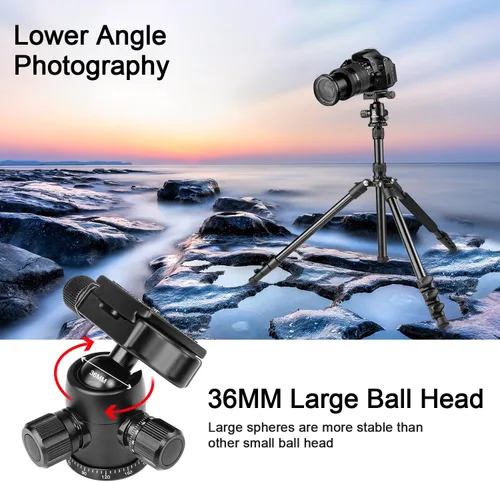 Vista 4 de Trípode de fotografía profesional para cámara de 77 pulgadas, cabeza esférica de aluminio DSLR/SLR trípode y monopie con bolsa de transporte