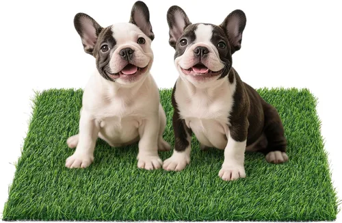 Almohadilla de césped artificial para perros para orinal: hierba falsa para perros para entrenamiento de orinal para orinar y hacer caca en balcón,