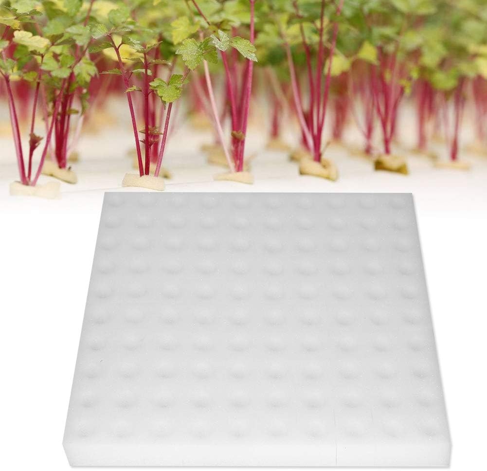 28. Focket Esponja hidropónica, 100 esponjas de cultivo hidropónico sin suelo, herramienta de jardinería para plantar, esponjas cuadradas de plántulas