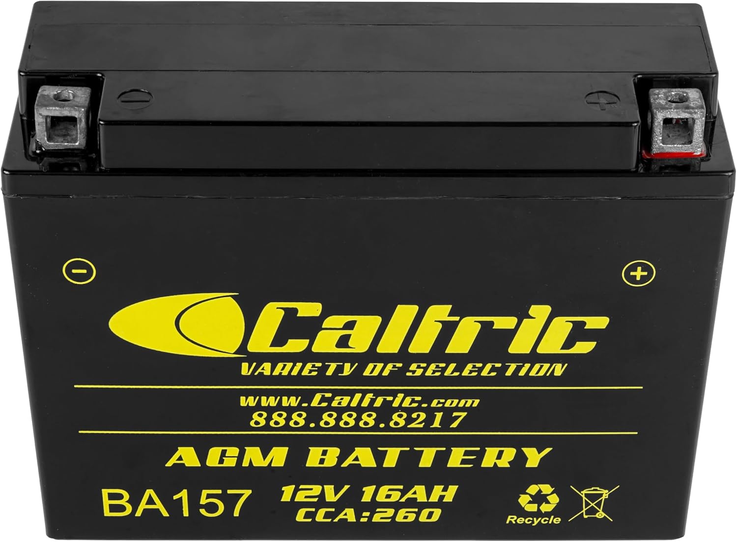 Caltric YB16AL-A2 Batería Agm compatible con Yamaha 5E3-82110-81-00 BTY-YB16A-L0-00