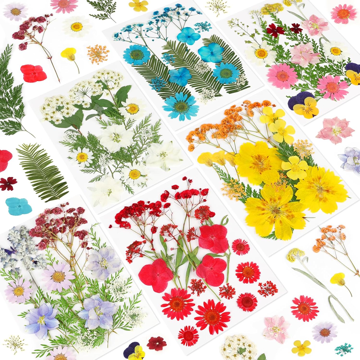 Flores secas prensadas para resina, 103 piezas de flores secas naturales